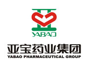 亚宝药业