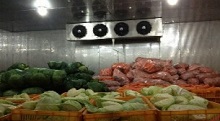 蔬菜冷库