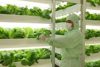 蔬菜冷库的设计建造特点