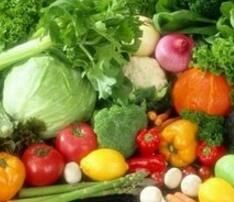 宁波蔬菜冷库的管理有哪些需要注意的事项?