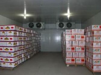 象山建造水果冷库经济效益的分析