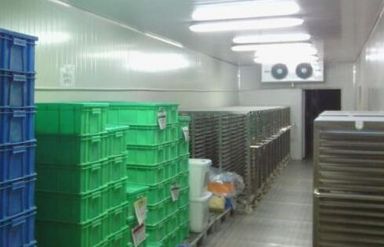 余姚蔬菜冷冻用途及其类型